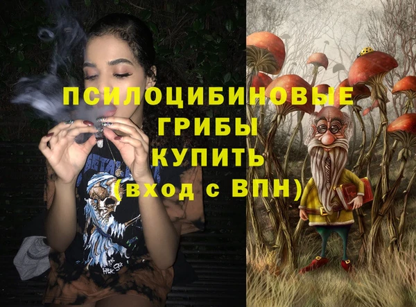 стафф Пролетарск